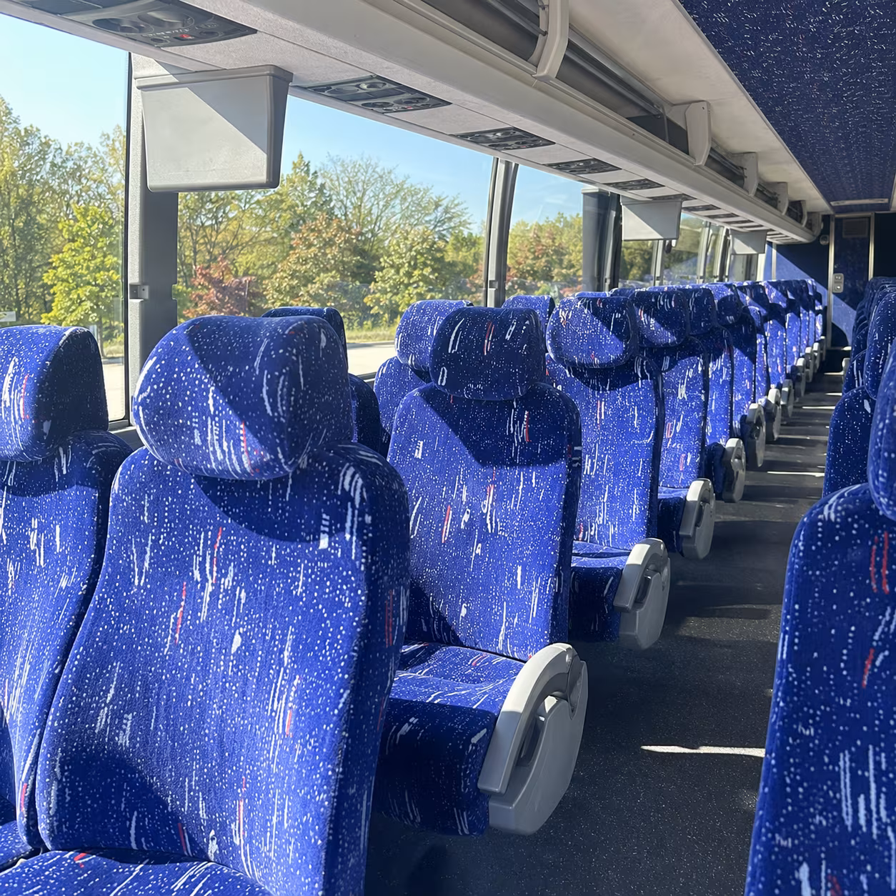 bellingham employee transportation
