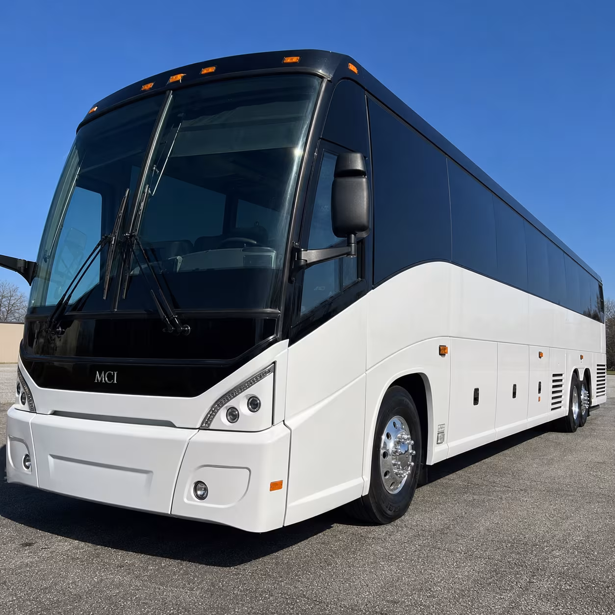 one search for your bellingham group trip